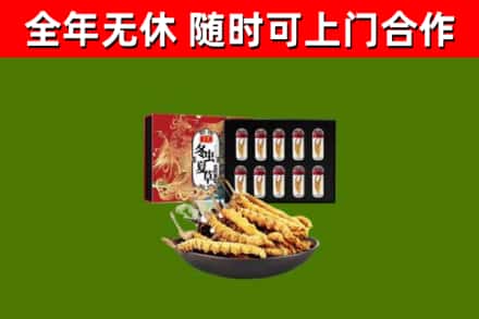 宁江区回收冬虫夏草价格