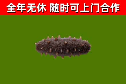 宁江区烟酒回收干海参.jpg